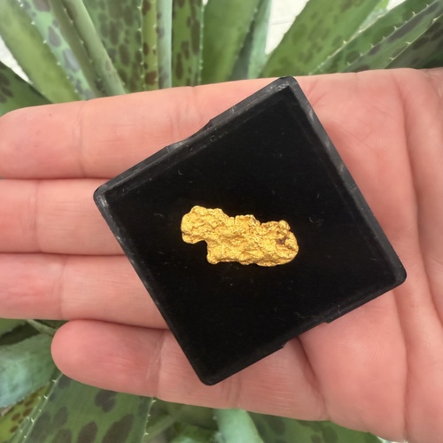 2.29g Gold Nugget