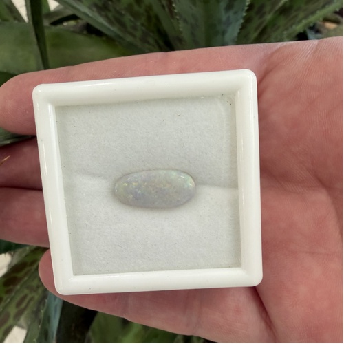 Lightning Ridge Opal - Solid