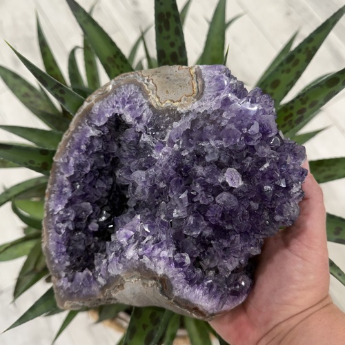 Amethyst Cluster | 2.8kg