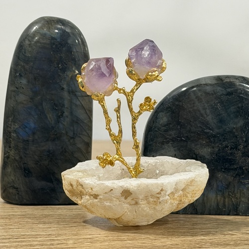 Amethyst Plant