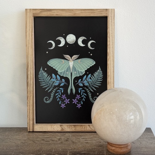 Luna Moth Wooden Framed Wall Art