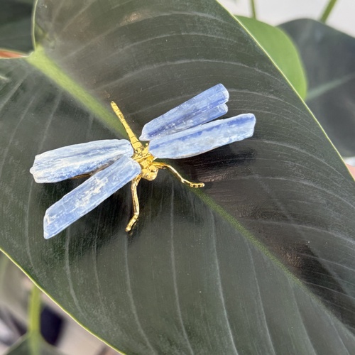 Kyanite Dragonfly